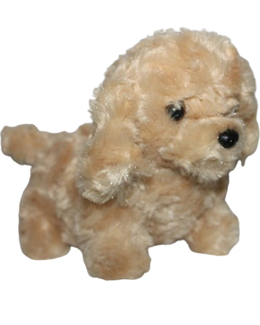 Pet Puppy Dog