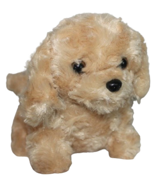 Pet Puppy Dog