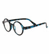 Blue Tortoise Glasses